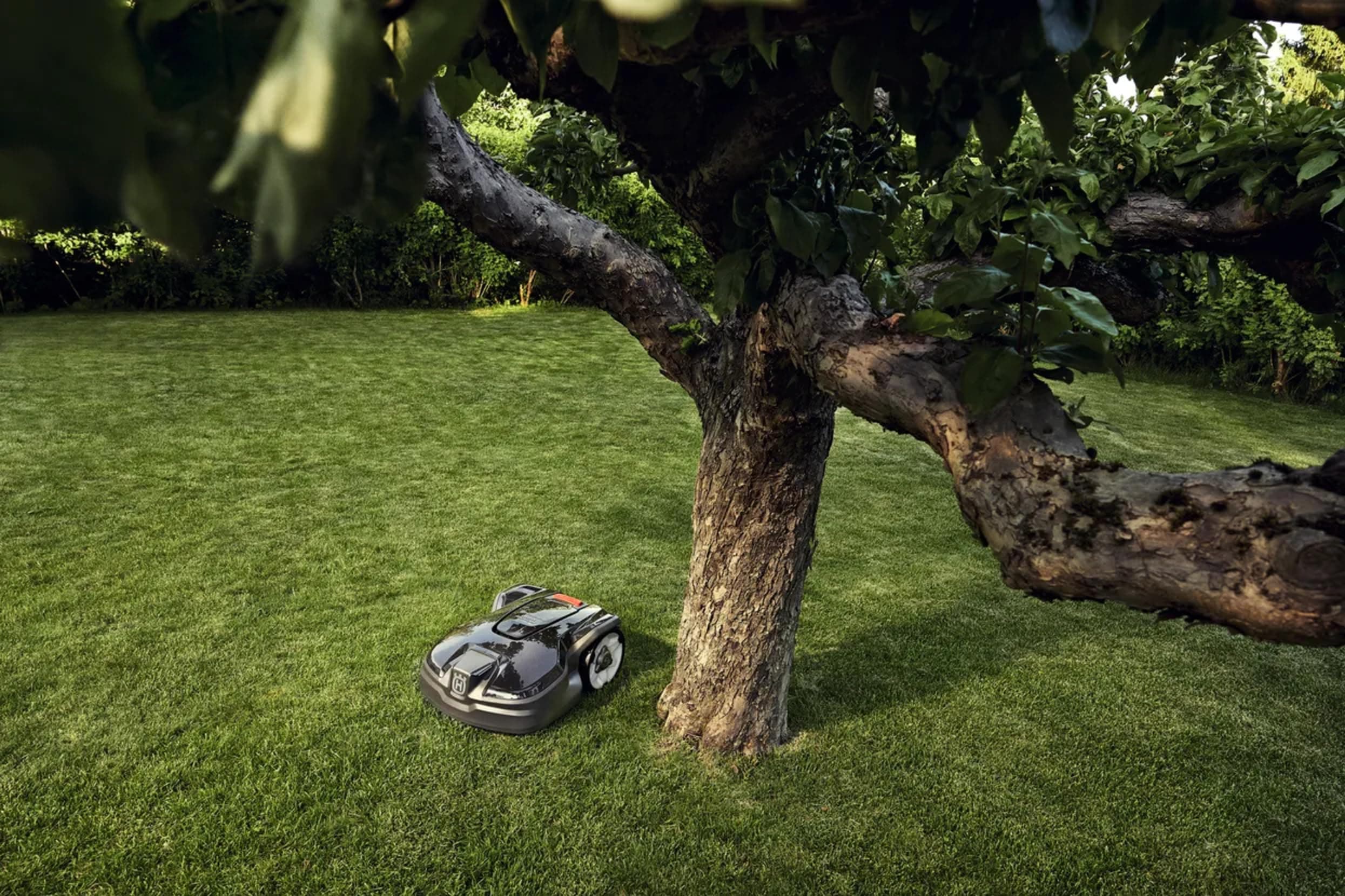 Robot tondeuse Husqvarna AUTOMOWER 305 — vue 2